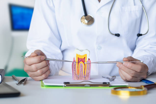 Best Emergency Dentist for Lost Fillings or Crowns in Hugo, OK